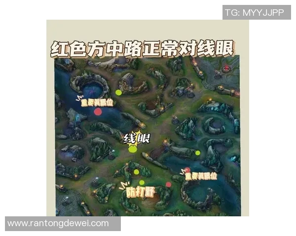 s15电竞总决赛英雄联盟新手战术攻略全面指南助你轻松上手游戏技巧